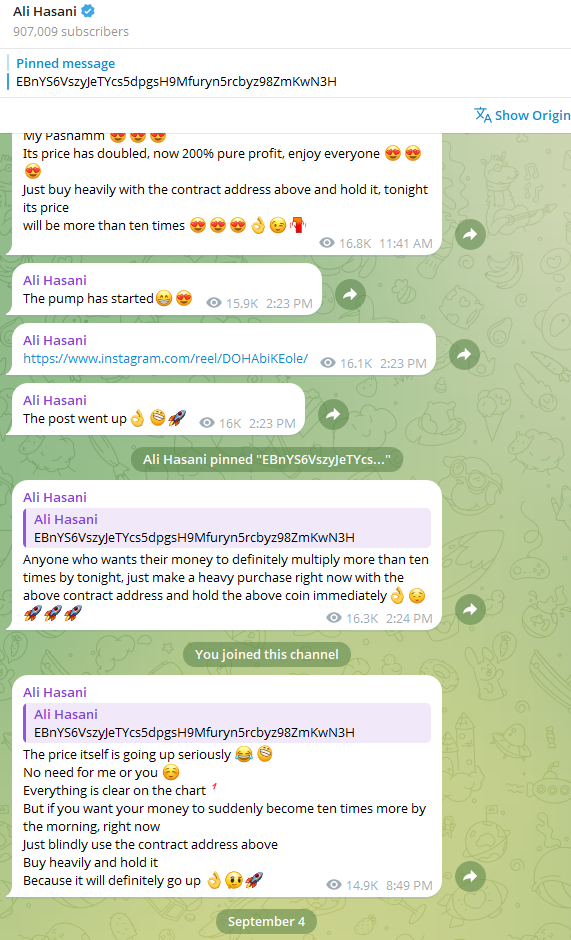 The text messages of Ali Hassani in the Telegram channel encouraging followers to buy the token and start the pump.