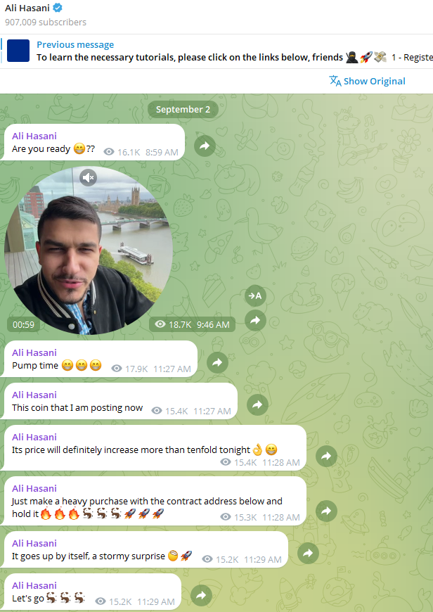 The text messages of Ali Hassani in the Telegram channel encouraging followers to buy the token and start the pump.