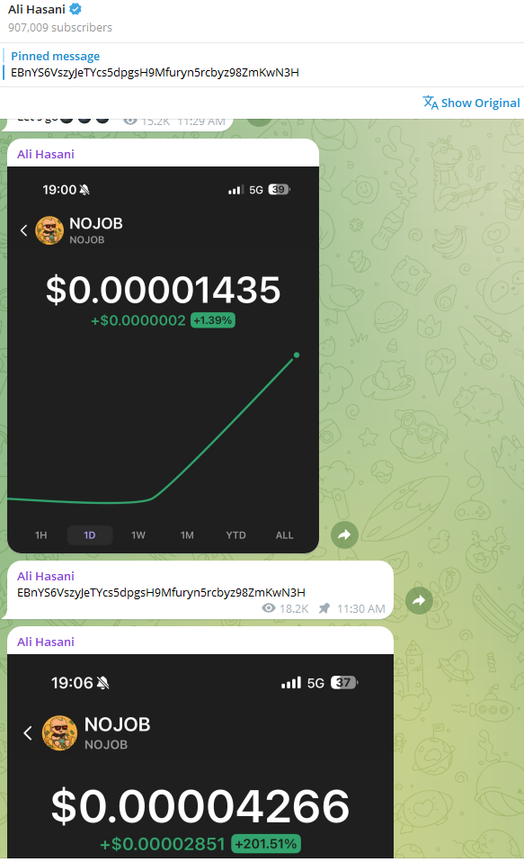 The text messages of Ali Hassani in the Telegram channel encouraging followers to buy the token and start the pump.
