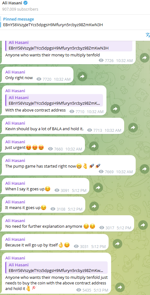 The text messages of Ali Hassani in the Telegram channel encouraging followers to buy the token and start the pump.