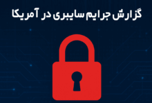 جرایم سایبری در آمریکا