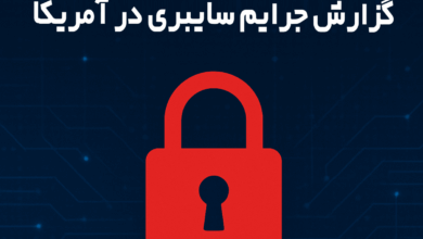 جرایم سایبری در آمریکا
