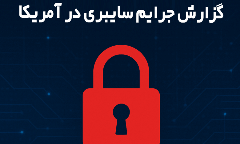 جرایم سایبری در آمریکا