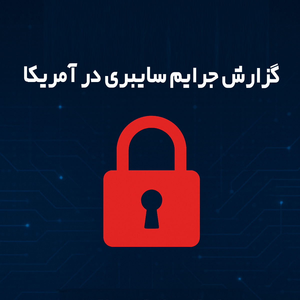 جرایم سایبری در آمریکا